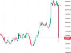 A bolsa derreteu, o que aconteceu com a B3 e o que significa o circuit breaker